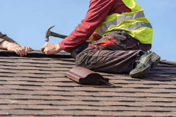 Best Roof Gutter Cleaning  in Whippany, NJ